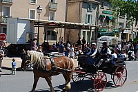 Foire chevaux bedarrides 2016_44.jpg