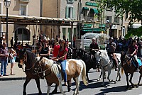 Foire chevaux bedarrides 2016_49.jpg