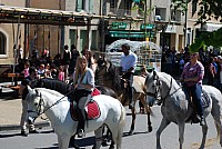 Foire chevaux bedarrides 2016_52.jpg