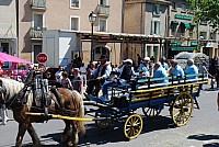 Foire chevaux bedarrides 2016_54.jpg