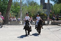 Foire chevaux bedarrides 2016_57.jpg