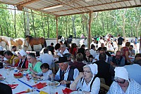 Foire chevaux bedarrides 2016_66.jpg