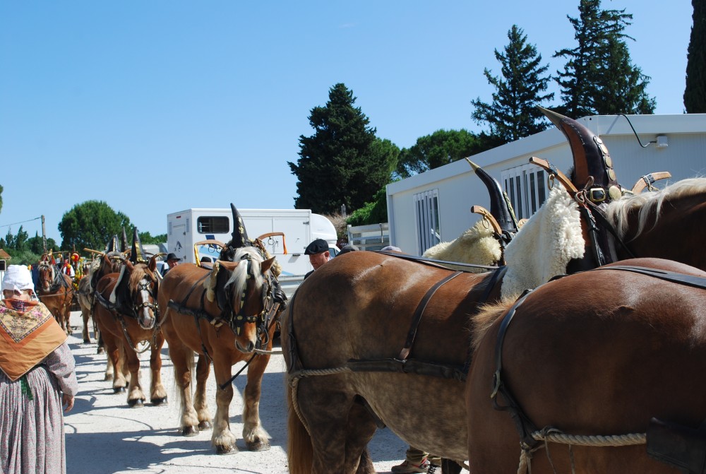 Foire_chevaux_2022_04.jpg