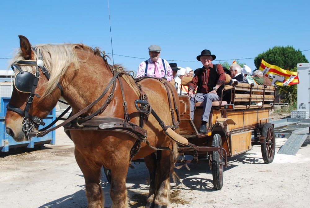 Foire_chevaux_2022_07.jpg