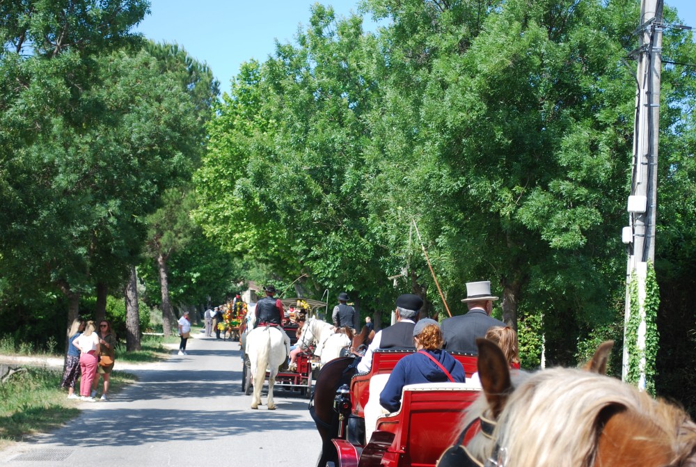 Foire_chevaux_2022_08.jpg