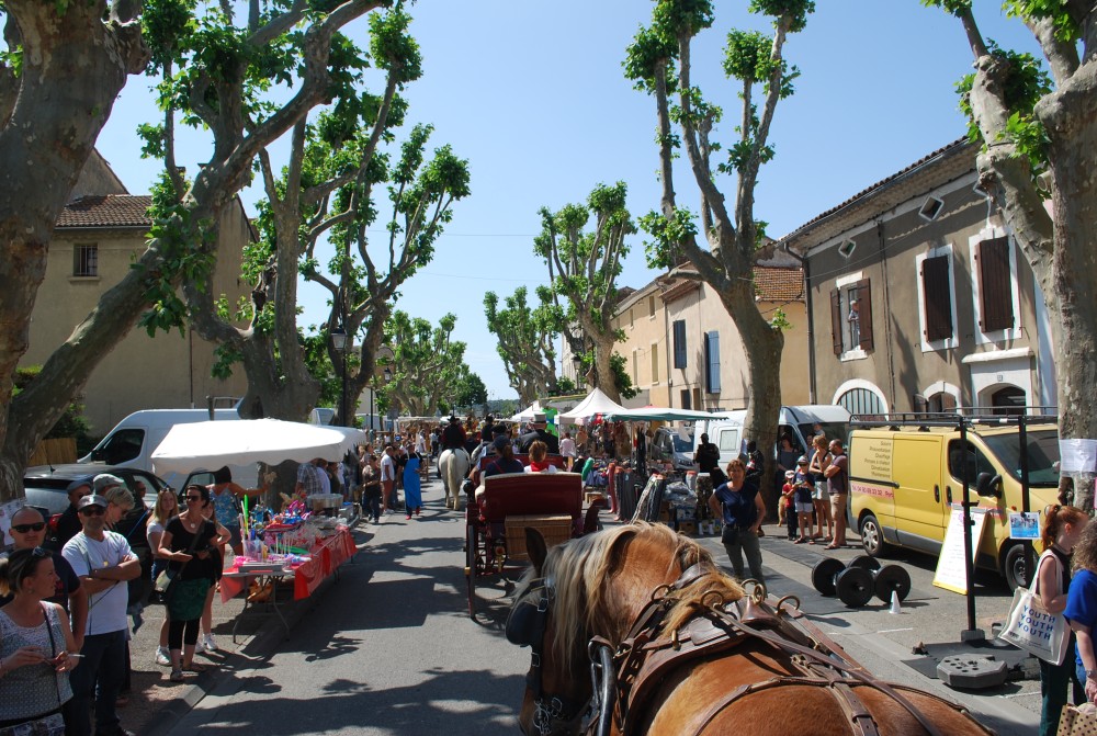 Foire_chevaux_2022_13.jpg