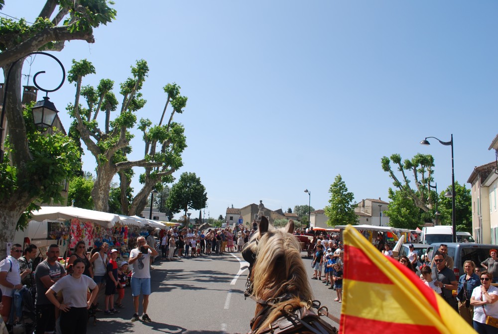 Foire_chevaux_2022_14.jpg