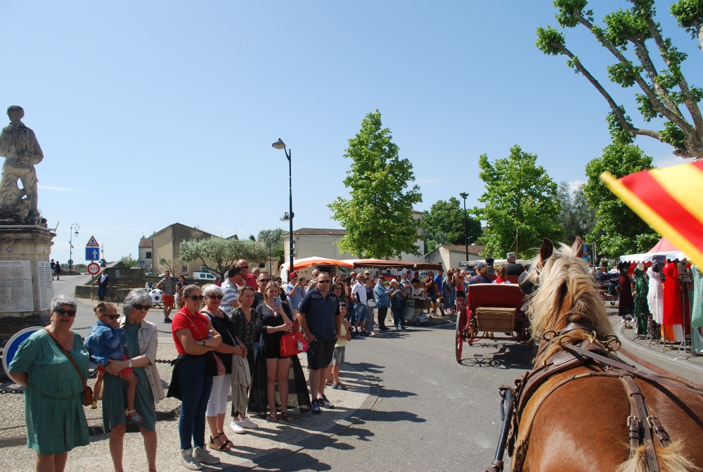 Foire_chevaux_2022_15.jpg