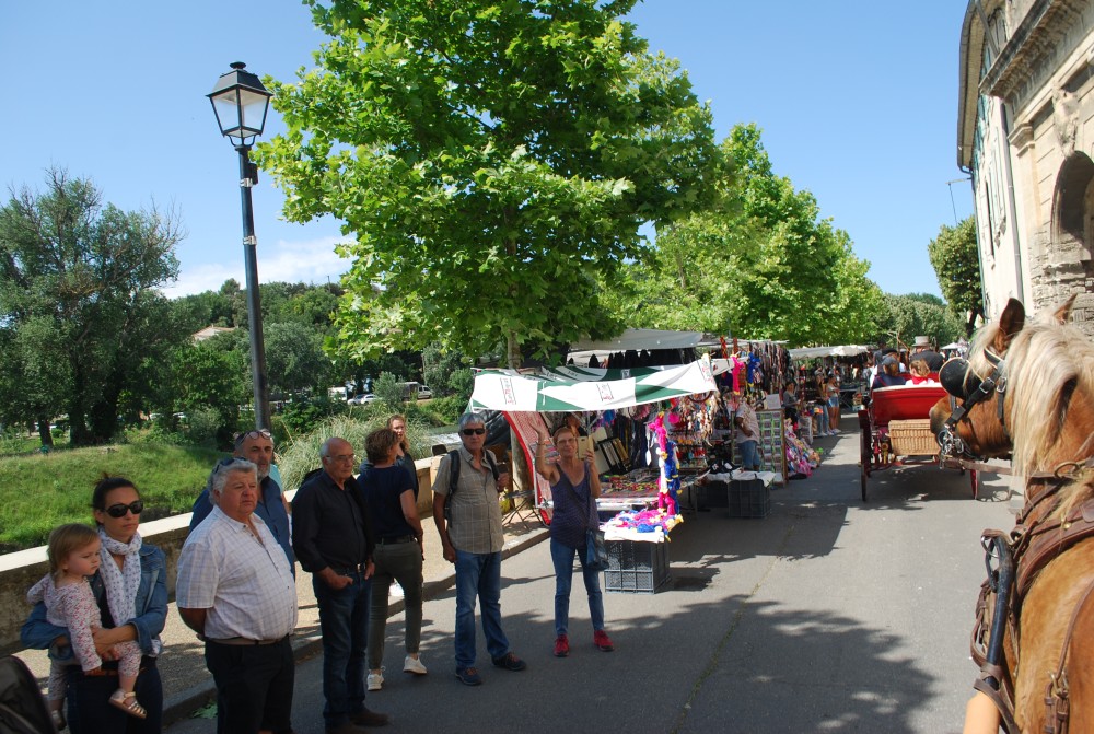 Foire_chevaux_2022_16.jpg