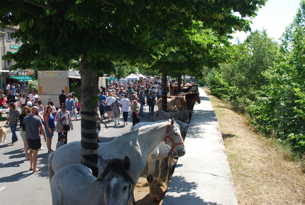 Foire_chevaux_2022_37.jpg