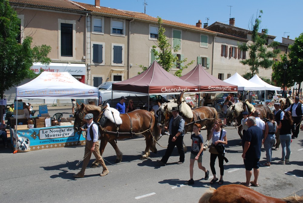 Foire_chevaux_2022_39.jpg