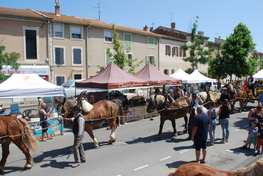 Foire_chevaux_2022_41.jpg