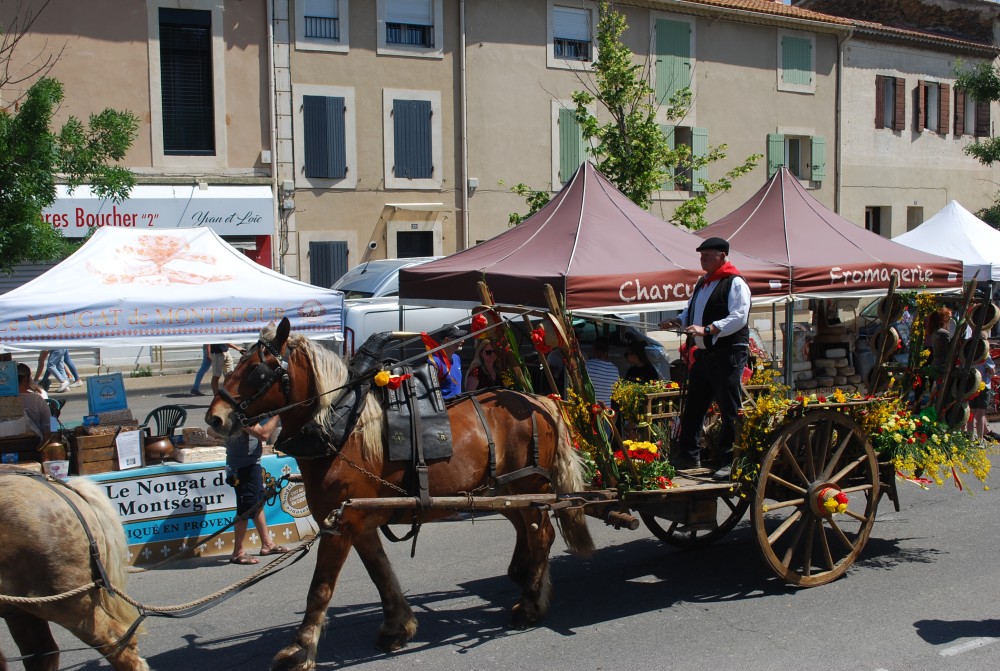 Foire_chevaux_2022_42.jpg