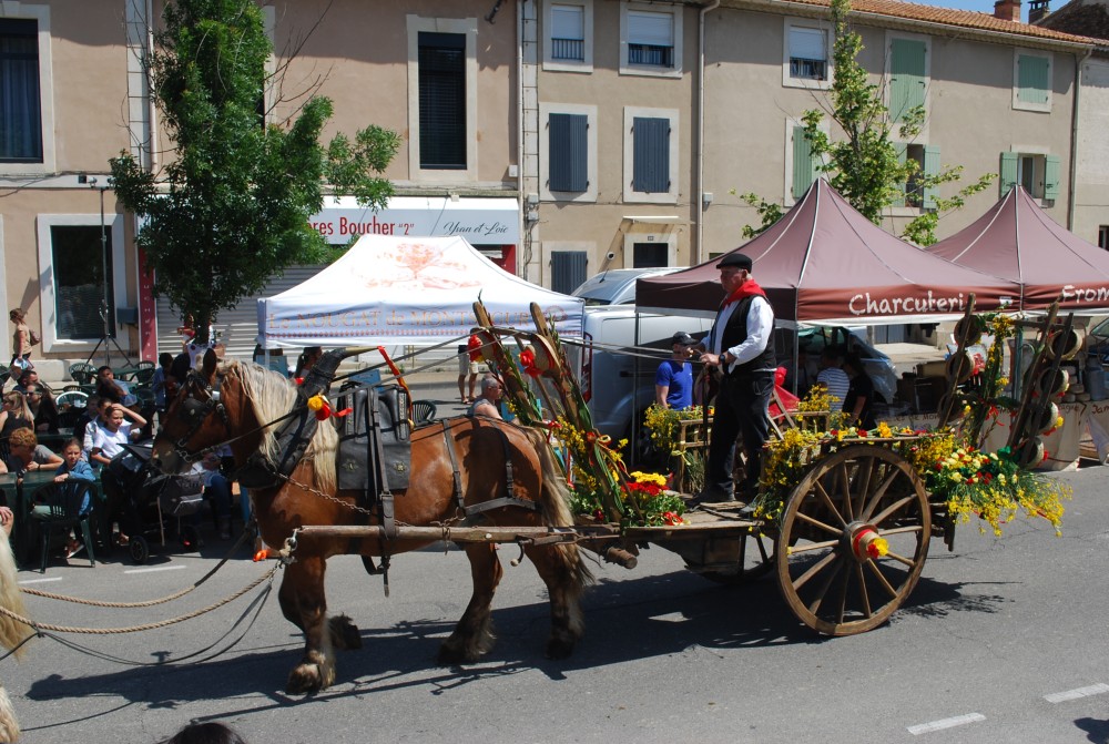 Foire_chevaux_2022_43.jpg