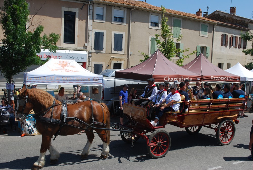 Foire_chevaux_2022_45.jpg