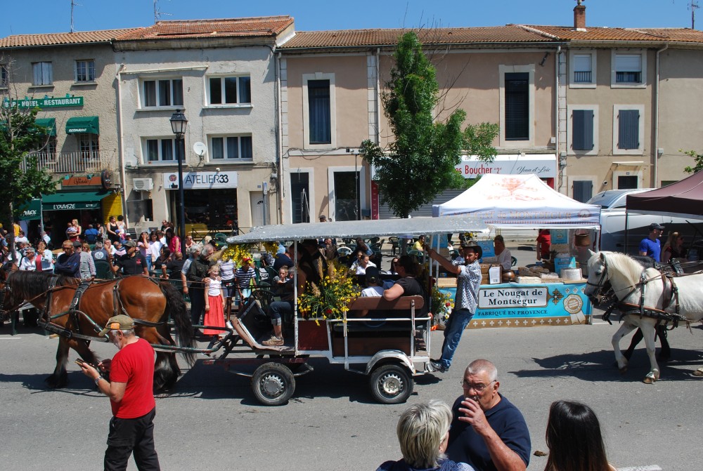 Foire_chevaux_2022_47.jpg