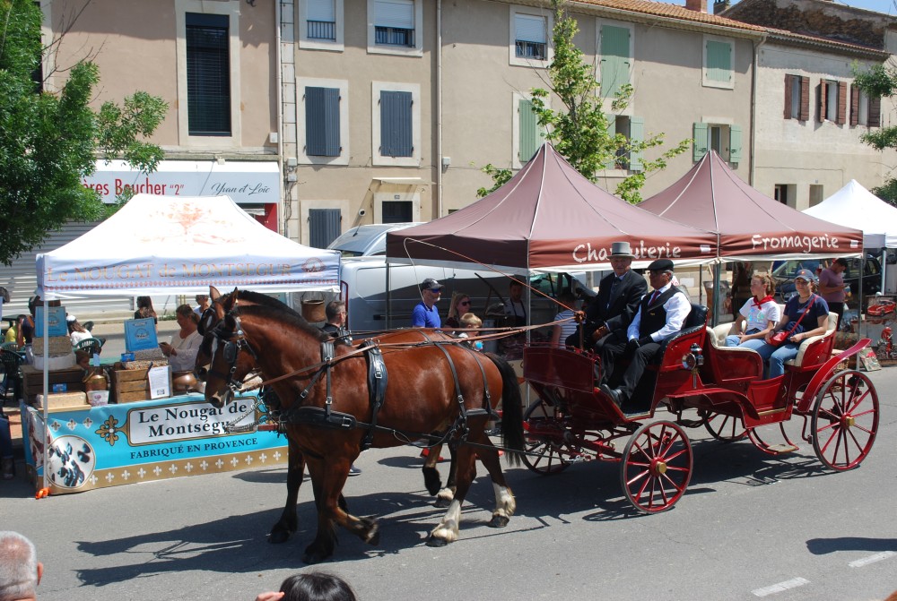 Foire_chevaux_2022_50.jpg