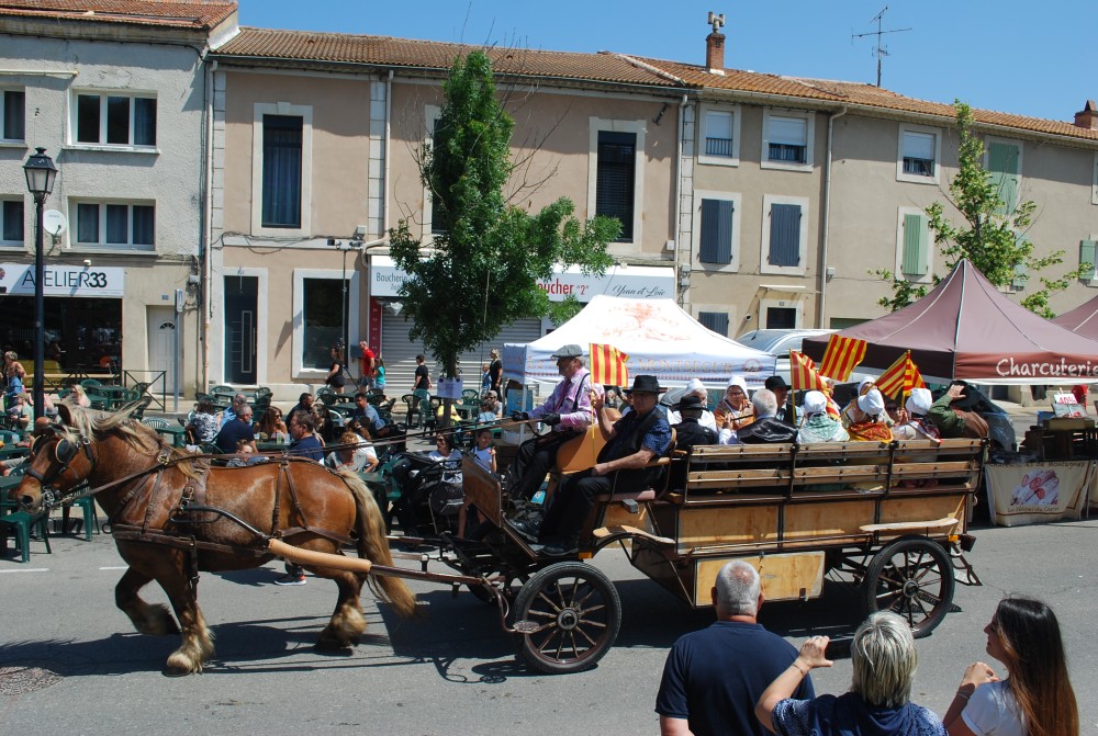 Foire_chevaux_2022_52.jpg