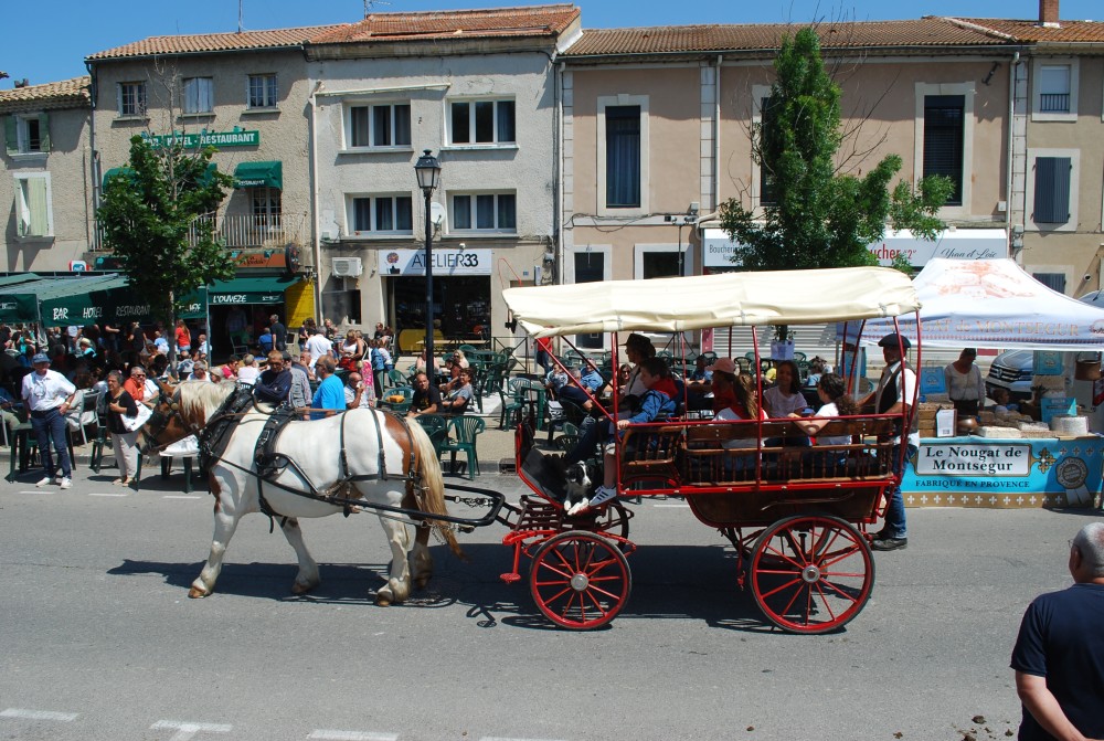 Foire_chevaux_2022_53.jpg