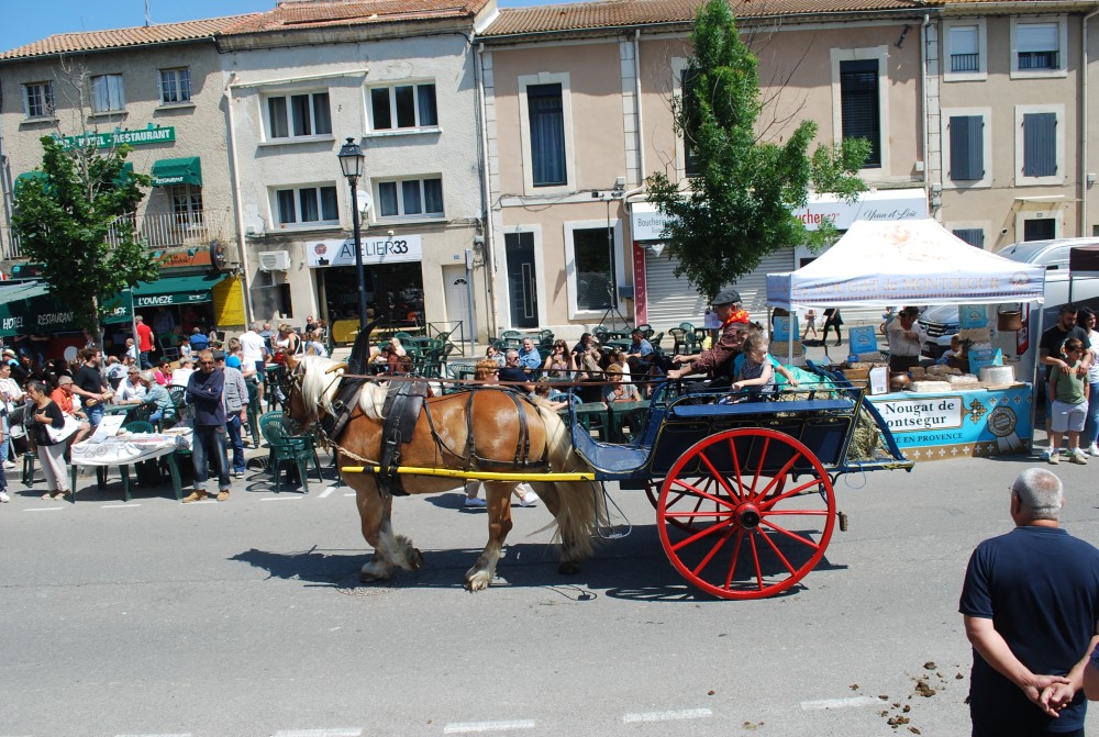 Foire_chevaux_2022_54.jpg