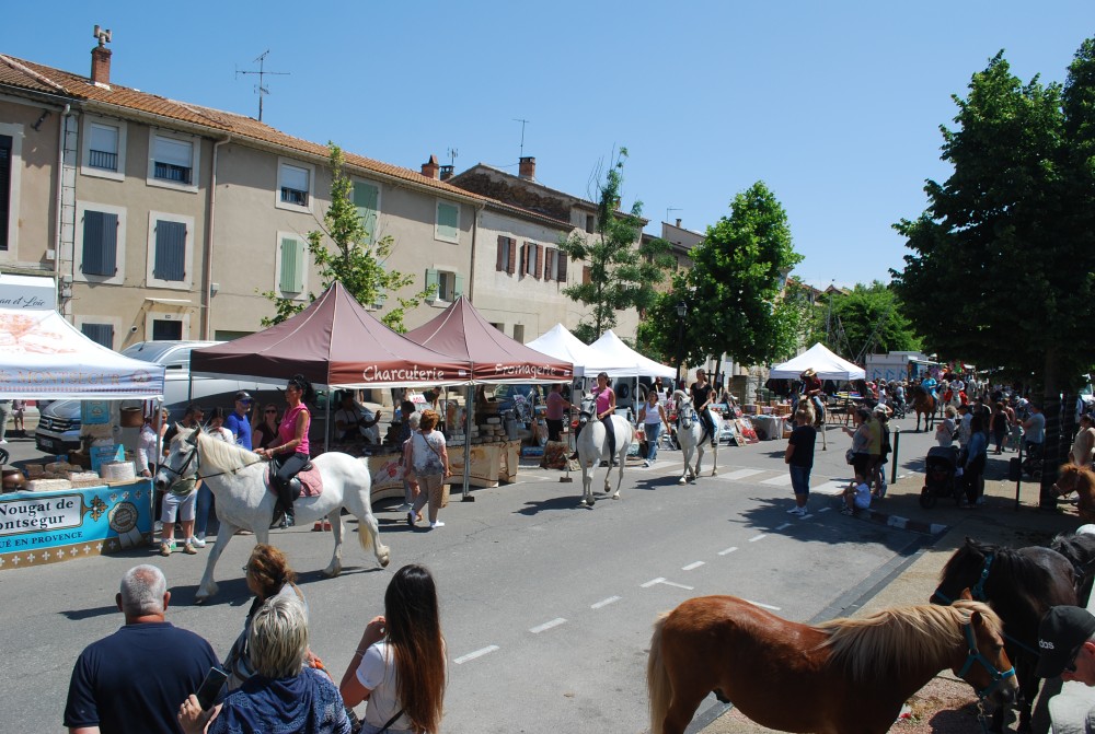 Foire_chevaux_2022_56.jpg