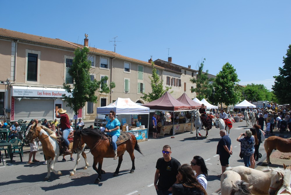 Foire_chevaux_2022_58.jpg