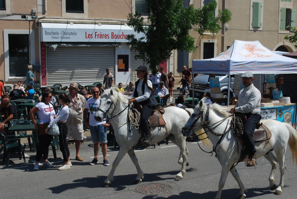 Foire_chevaux_2022_60.jpg