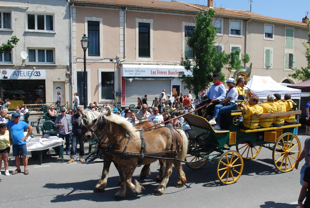 Foire_chevaux_2022_61.jpg