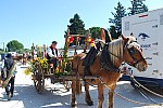 Foire_chevaux_2022_05.jpg