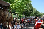 Foire_chevaux_2022_17.jpg