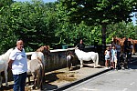 Foire_chevaux_2022_23.jpg