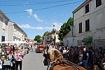 Foire_chevaux_2022_29.jpg