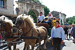 Foire_chevaux_2022_35.jpg