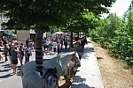 Foire_chevaux_2022_37.jpg