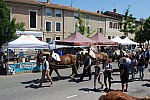 Foire_chevaux_2022_39.jpg