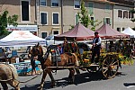 Foire_chevaux_2022_42.jpg