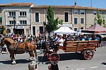 Foire_chevaux_2022_46.jpg