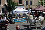 Foire_chevaux_2022_49.jpg