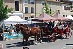 Foire_chevaux_2022_50.jpg