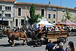 Foire_chevaux_2022_52.jpg