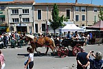 Foire_chevaux_2022_55.jpg