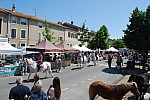 Foire_chevaux_2022_56.jpg