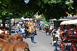 Foire_chevaux_2022_57.jpg