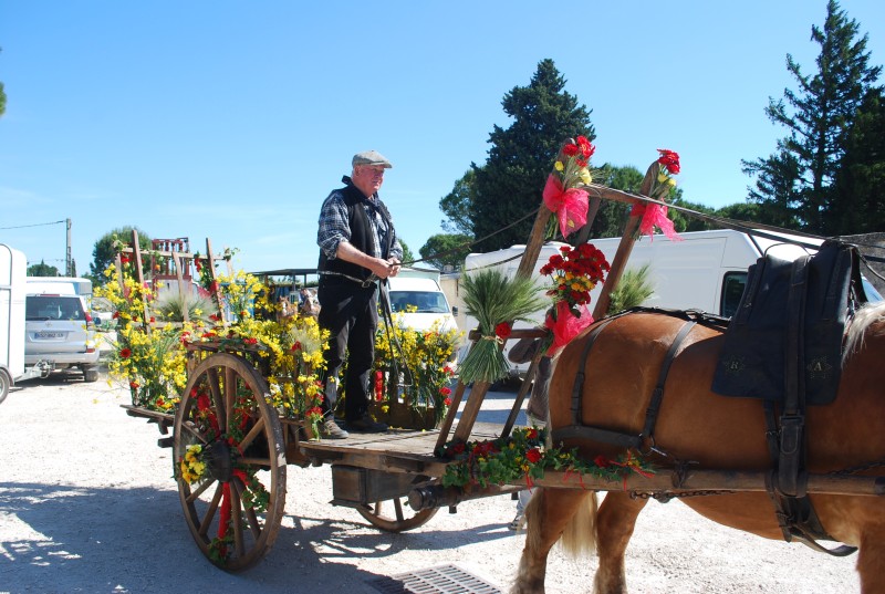 Foire_chevaux_bedarrides__2019.jpg