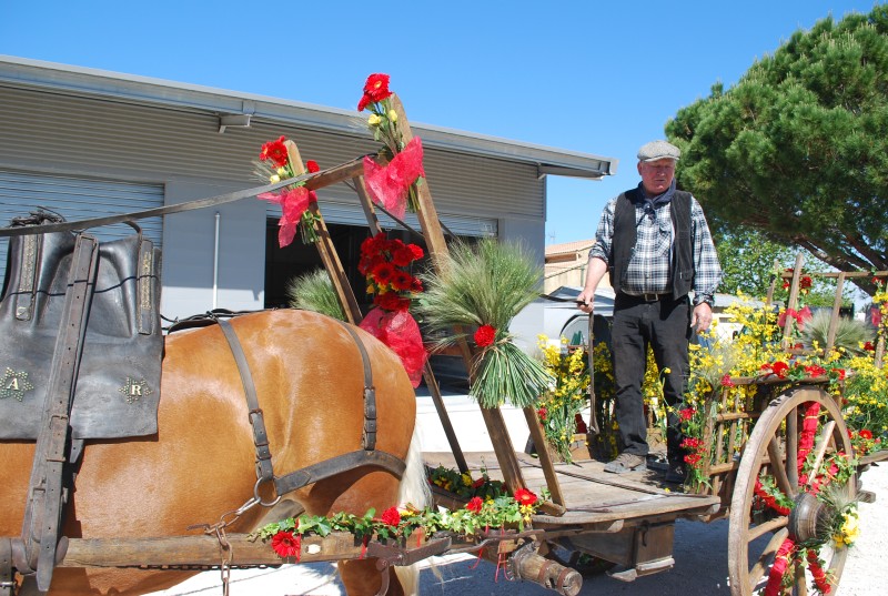 Foire_chevaux_bedarrides__2019_02.jpg