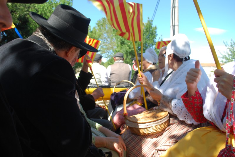 Foire_chevaux_bedarrides__2019_05.jpg