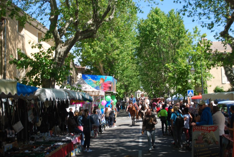 Foire_chevaux_bedarrides__2019_09.jpg