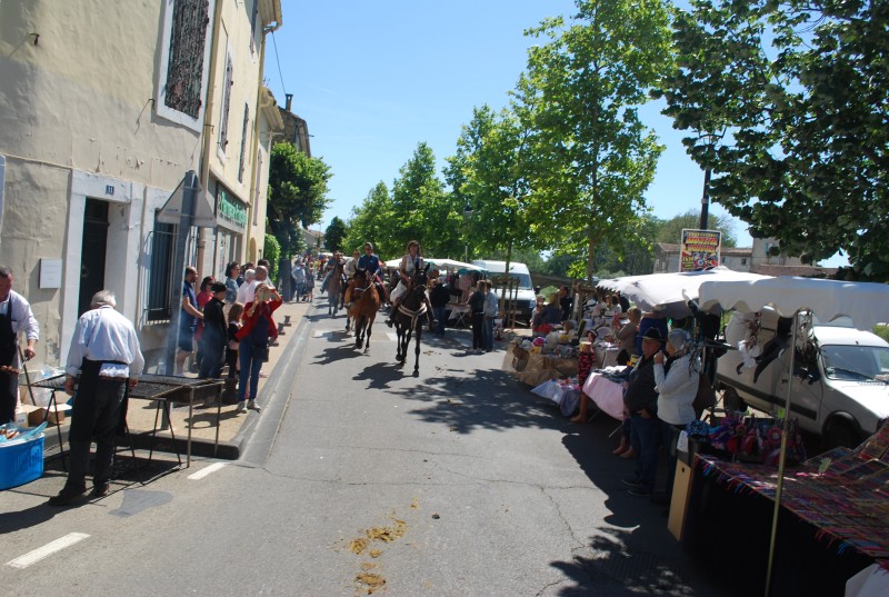 Foire_chevaux_bedarrides__2019_10.jpg