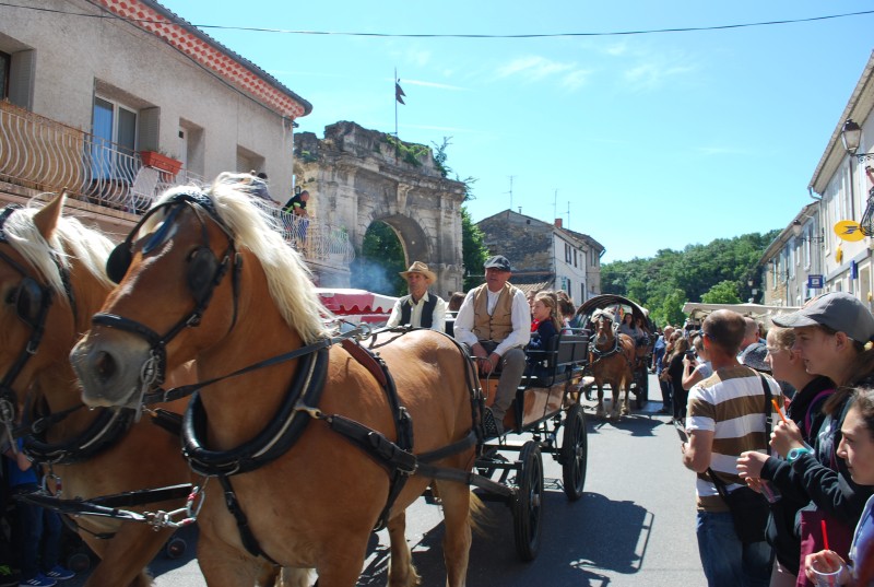 Foire_chevaux_bedarrides__2019_28.jpg