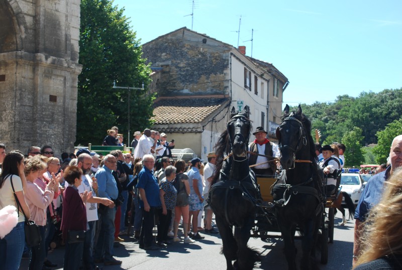 Foire_chevaux_bedarrides__2019_30.jpg